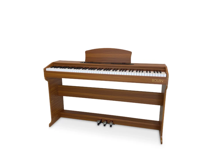 Bolan CP-1 BN - 1.png