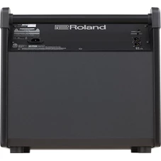 ROLAND PM-200 3.jpg