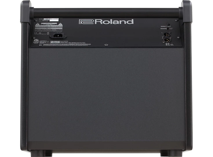 ROLAND PM-200 3.jpg