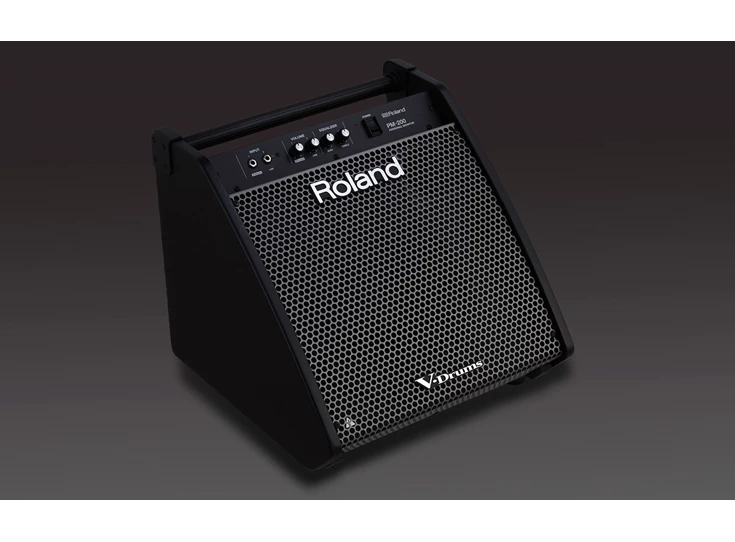 ROLAND PM-200 4.jpg