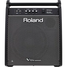 ROLAND PM-200.jpg