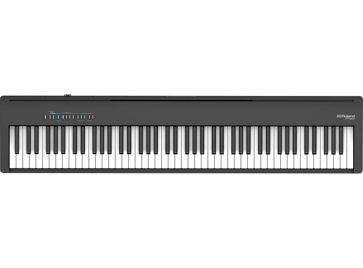 fp30 3.jpg