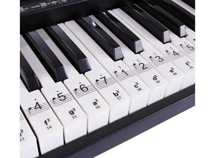 23254 1 - Bewerkt.jpg