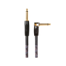 bic-10a_gal.jpg