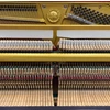 17654 4 - Bewerkt.jpg