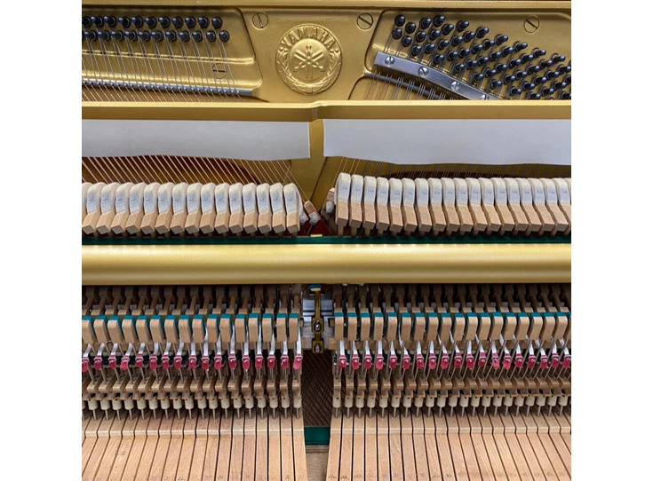 20819 5 - Bewerkt.jpg