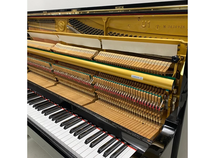 20819 6 - Bewerkt.jpg